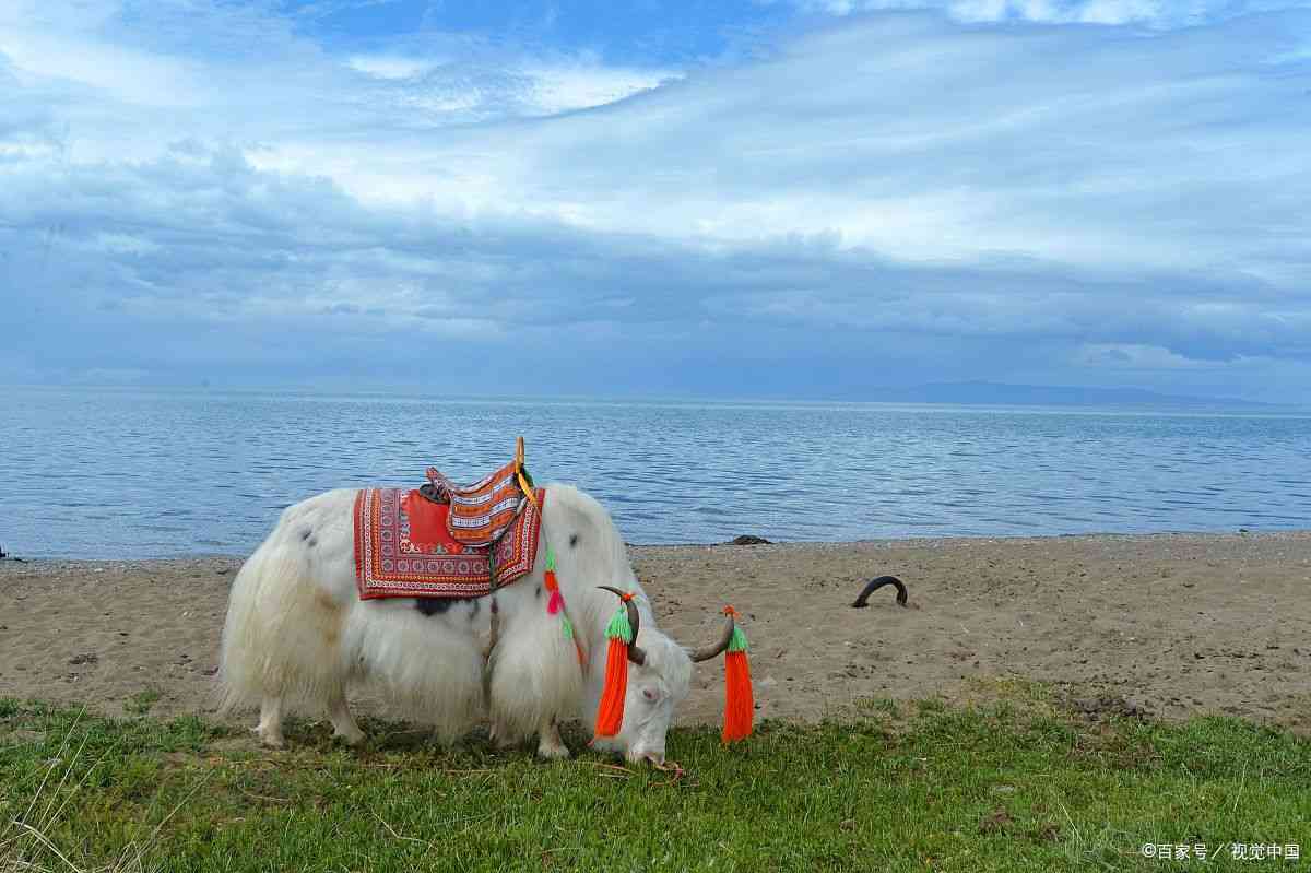 青海旅游景点攻略