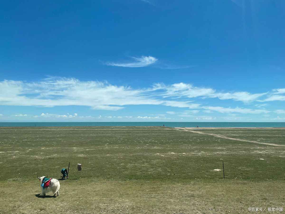 “青海旅游景点”